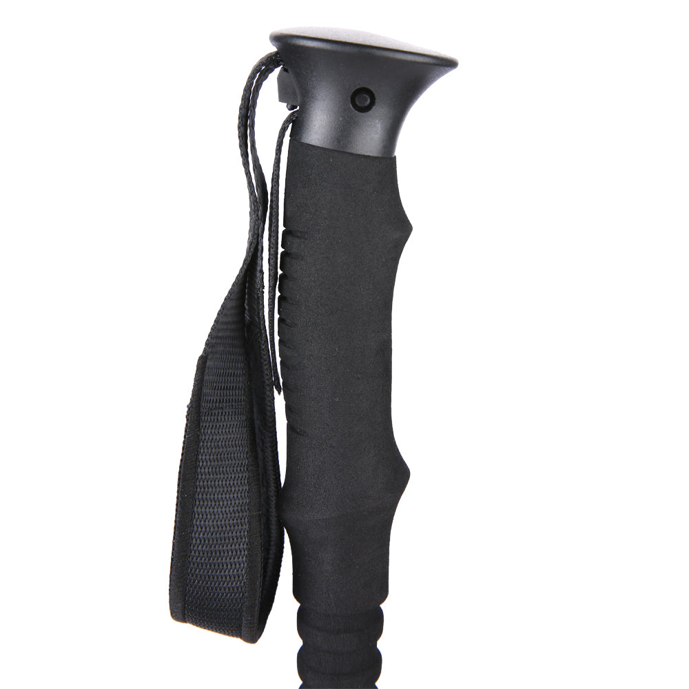 EIGER Valor Treking Pole