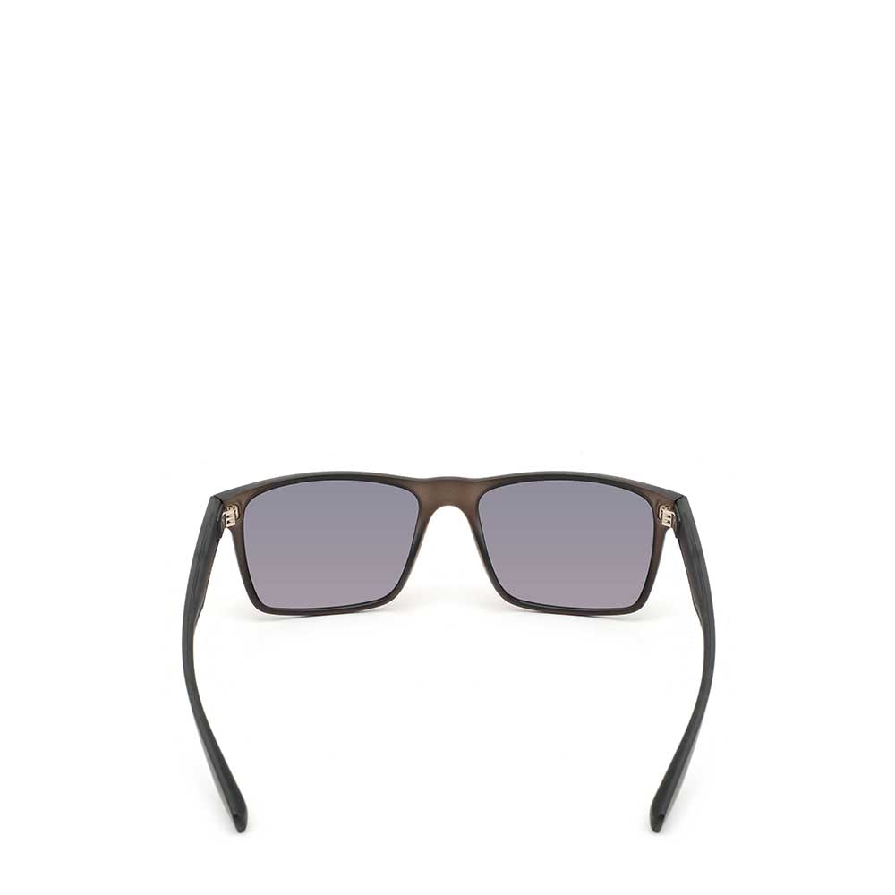 EIGER Haller Sunglasses