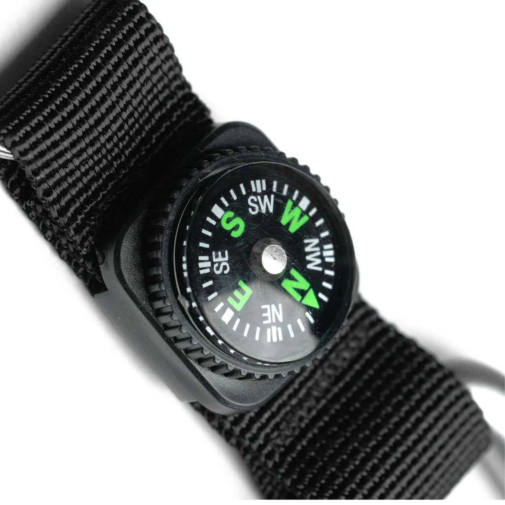 EIGER Pear D Carabiner Wstrap 8mm Compass Keychain