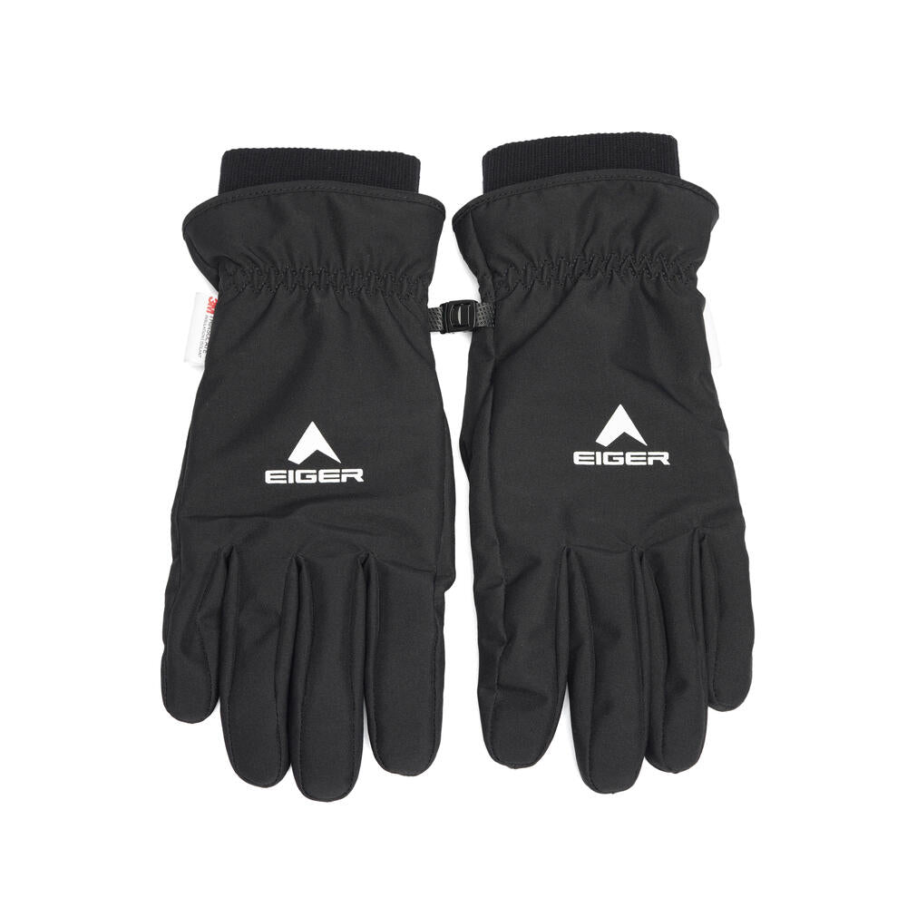 EIGER Transition 2.0