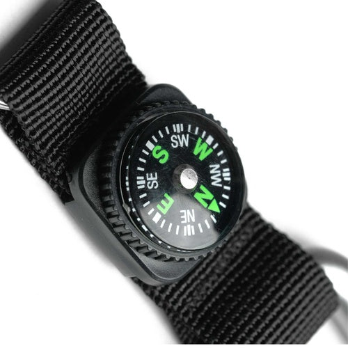 EIGER Pear D Carabiner Wstrap 8mm Compass Keychain