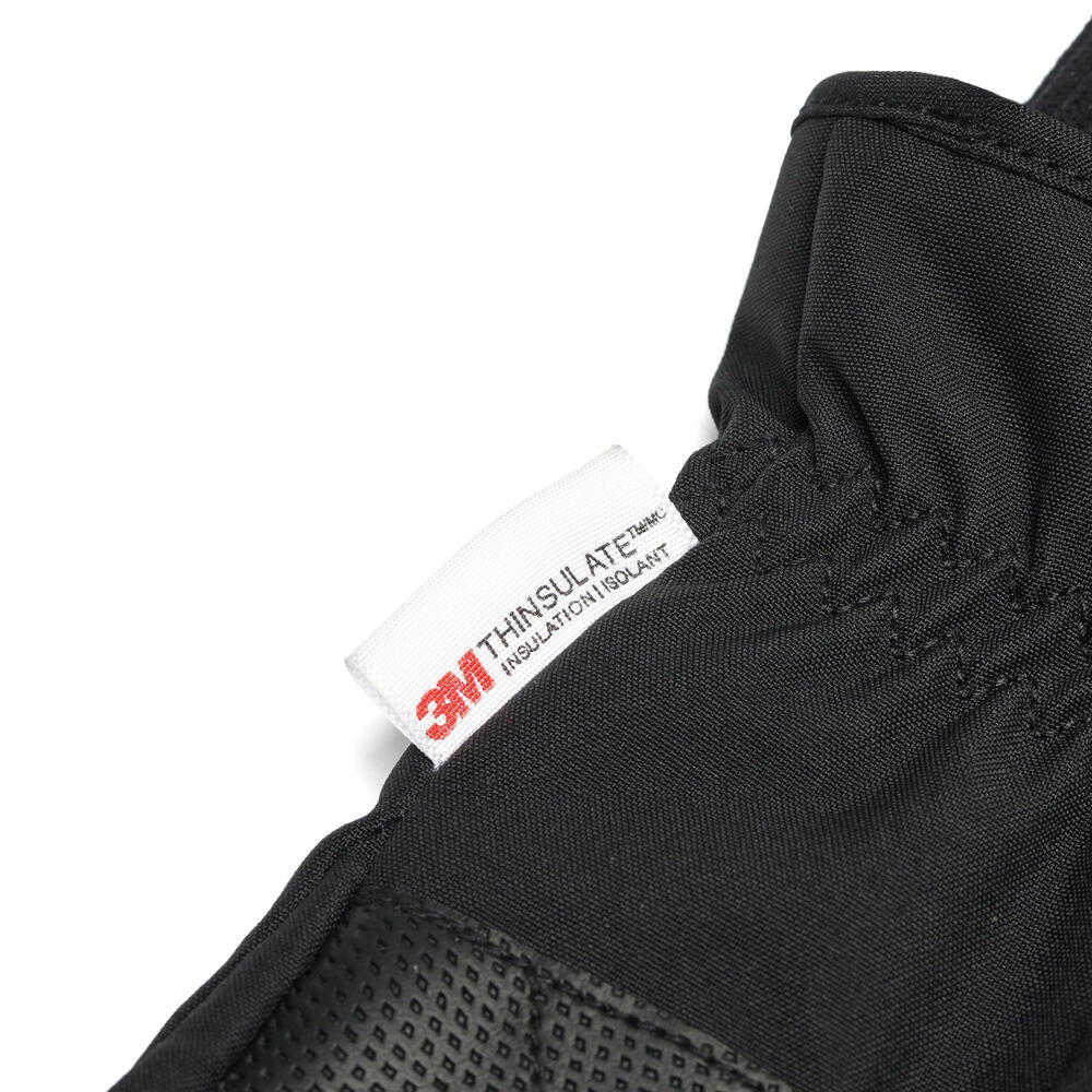 EIGER Transition 2.0