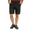 EIGER Pathways 1.2 XT Short