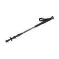 EIGER Valor Treking Pole