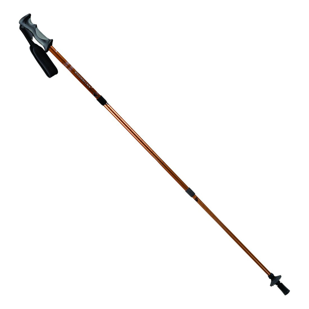 EIGER Trekking Pole 2 Section