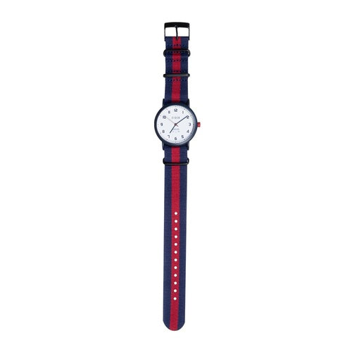 EIGER Copper Analog Watch